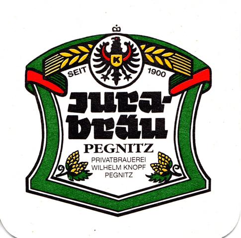 pegnitz bt-by jura quad 2a (180-groes logo kleiner-jura bru)